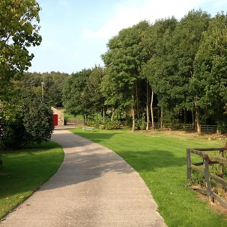 North Dockenbush Harrogate